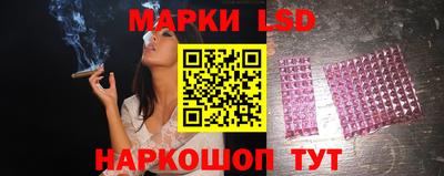 прущие грибы Кандалакша
