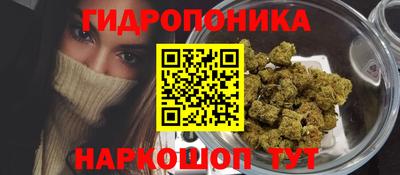 амф Камышлов