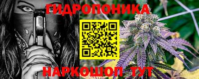 прущие грибы Кандалакша