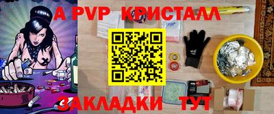 прущие грибы Кандалакша