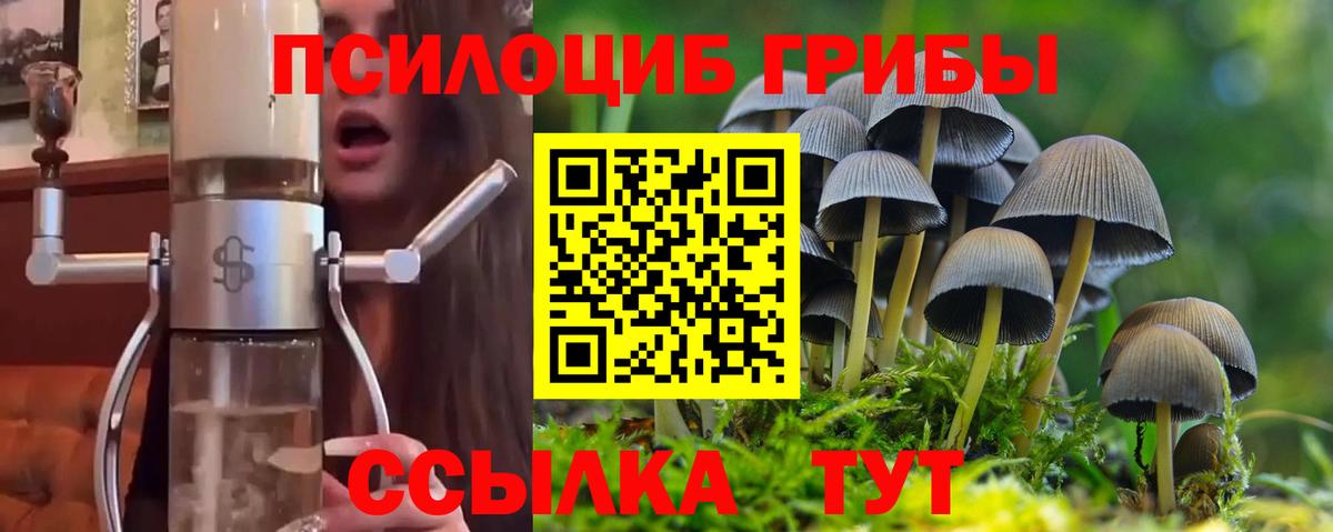 Псилоцибиновые грибы мицелий Кыштым